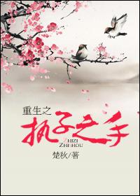 重生之执子之手封面