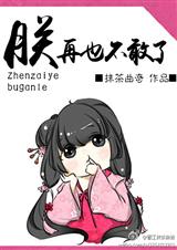 朕再也不敢了封面