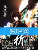 重获新生封面