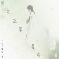 梨花逝落近黄昏封面
