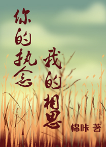 你的执念,我的相思封面