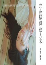 昨夜疑似故人来封面