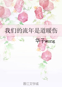 我们的流年是道暖伤封面