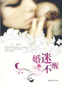 解读80后的错位婚姻:婚迷不醒封面