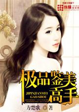 极品鉴美高手封面