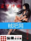盗梦神偷封面