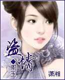 盗情封面