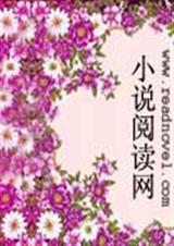 永远不变的爱情封面