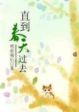 直到春天过去封面