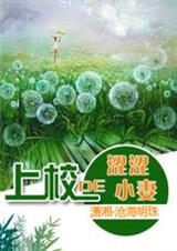 上校的涩涩小妻封面