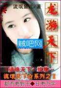 龙游天下封面