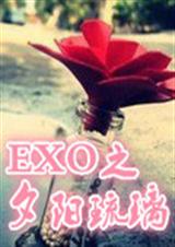 EXO之夕阳琉璃封面