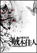 贼本佳人封面