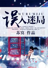 误入迷局封面