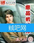 绝品机械师封面