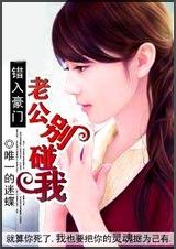 错入豪门:老公别碰我封面
