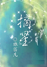 摘星封面
