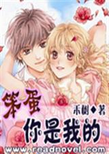 笨蛋,你是我的封面