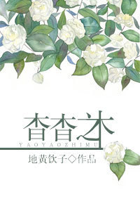 杳杳之木封面