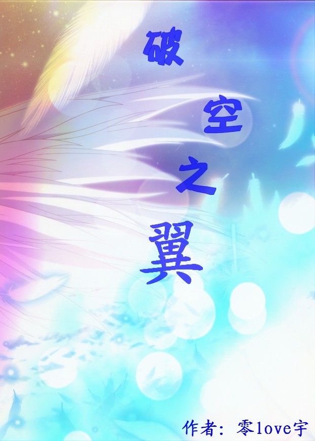 破空之翼封面