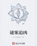 谜案追凶封面