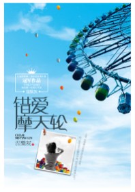 婚姻路口遗失爱情:错爱摩天轮封面