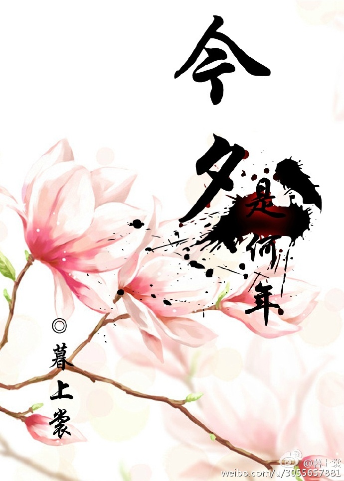 今夕是何年封面