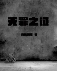 无罪之证封面