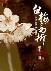 白梅易折by极至封面