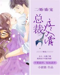二婚盛宠:总裁疼入骨封面