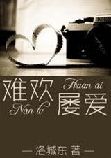 难欢屡爱封面