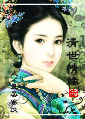 清世情缘Ⅱ十四福晋封面