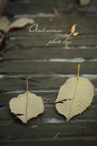 ����ǰ�� �ܲ�̫����