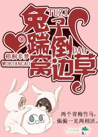 兔子踹倒窝边草封面
