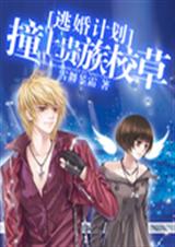 �ӻ�ƻ�:ײ�Ϲ���У