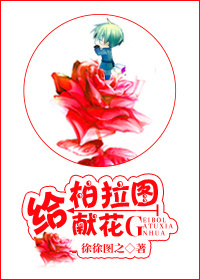 给柏拉图献花封面