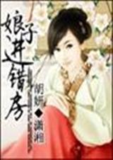 娘子进错房(完结) 胡妍封面