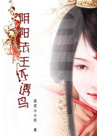 ����������͸��(VIP���)