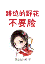 路边的野花不要脸封面