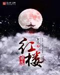 惑乱红楼封面