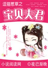 逗猫惹草之宝贝夫君封面