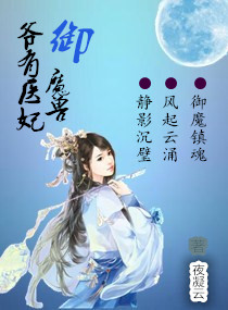 爷有医妃御魔兽封面