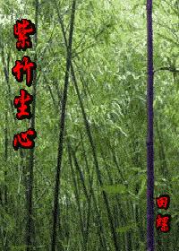 紫竹尘心封面