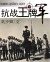 抗战王牌军封面