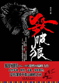 杀破狼封面