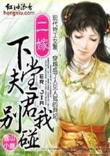 二嫁:下堂夫君别碰我 2封面