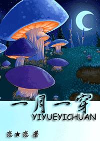 综 一月一穿封面