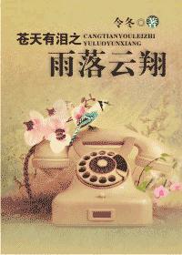 苍天有泪之雨落云翔封面