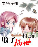 收了祸世相公们封面