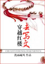 穿越红楼去写文封面